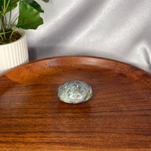Load image into Gallery viewer, Ocean Jasper Palm Stones