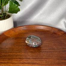 Load image into Gallery viewer, Ocean Jasper Palm Stones