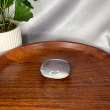 Load image into Gallery viewer, Ocean Jasper Palm Stones