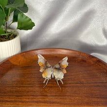 Load image into Gallery viewer, Golden Healer Butterfly

