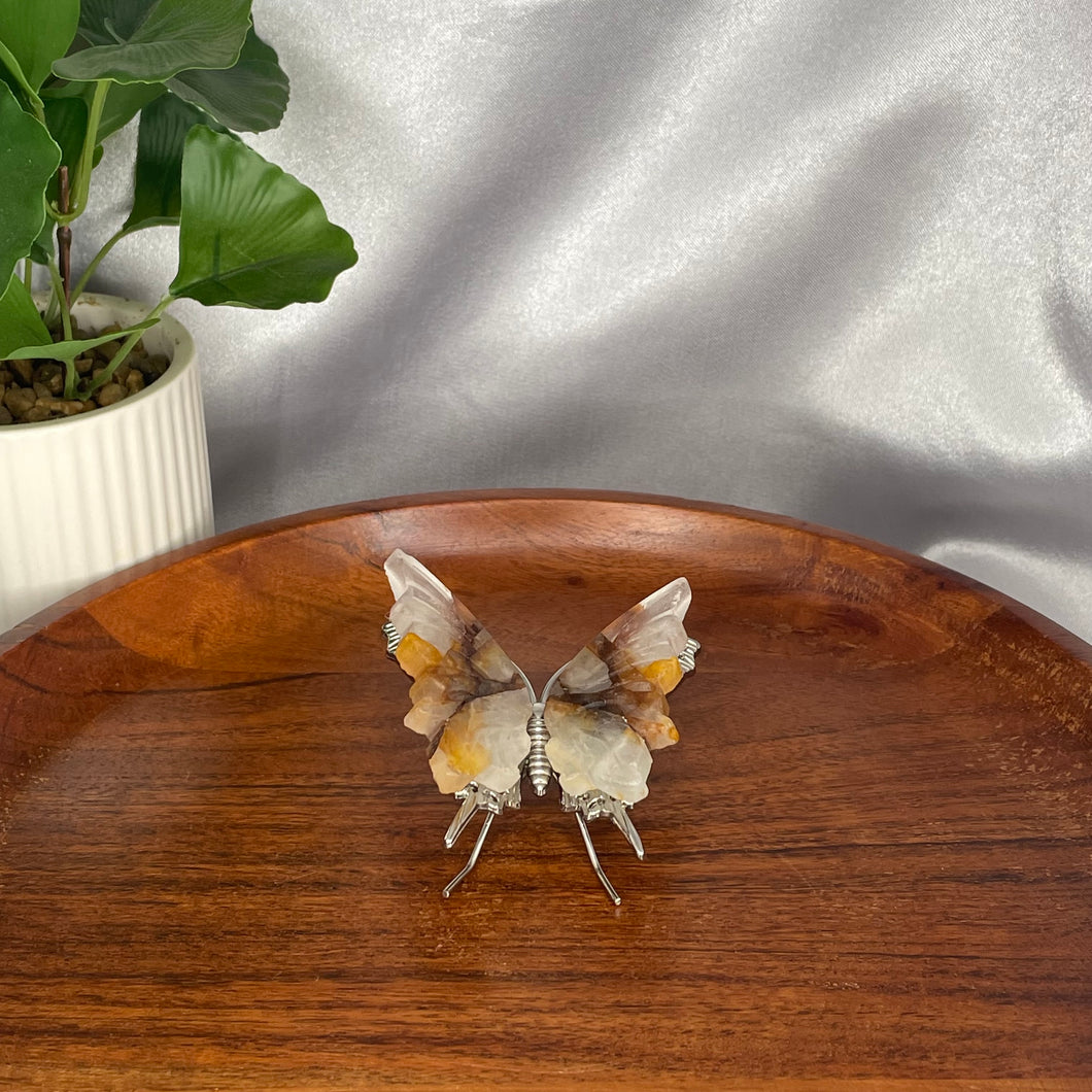 Golden Healer Butterfly