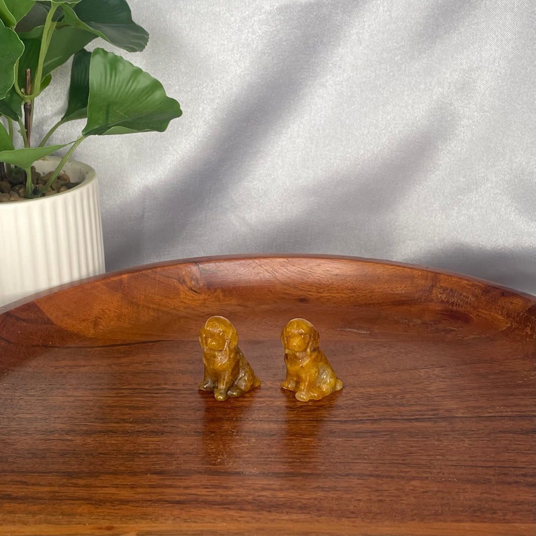 Golden Healer Mini Dogs