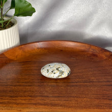 Load image into Gallery viewer, Ocean Jasper Palm Stones
