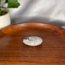 Load image into Gallery viewer, Ocean Jasper Palm Stones
