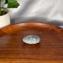 Load image into Gallery viewer, Ocean Jasper Palm Stones
