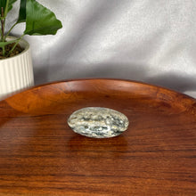 Load image into Gallery viewer, Ocean Jasper Palm Stones
