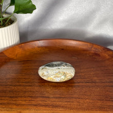 Load image into Gallery viewer, Ocean Jasper Palm Stones
