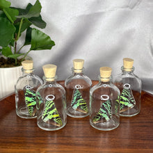 Load image into Gallery viewer, Wing Bottles
