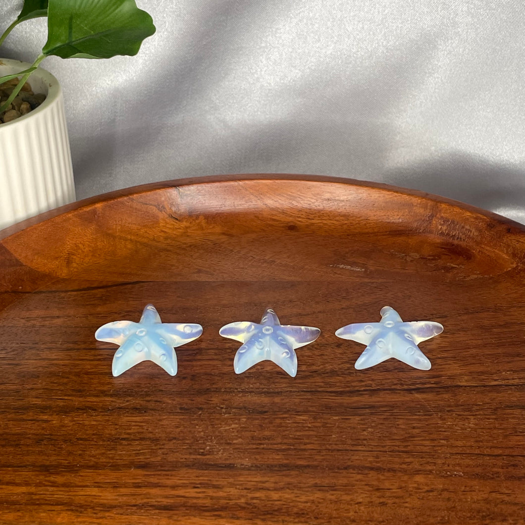 Opalite (Manmade) Starfish