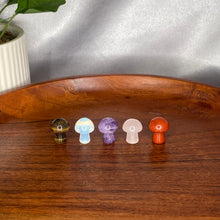 Load image into Gallery viewer, Mini Mushroom
