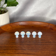 Load image into Gallery viewer, Mini Mushroom
