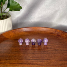 Load image into Gallery viewer, Mini Mushroom

