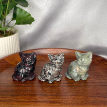 Load image into Gallery viewer, Cats
