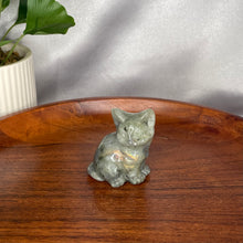 Load image into Gallery viewer, Cats
