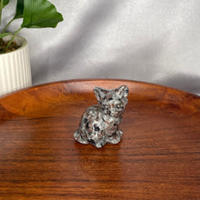 Load image into Gallery viewer, Cats
