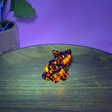 Load image into Gallery viewer, Cats
