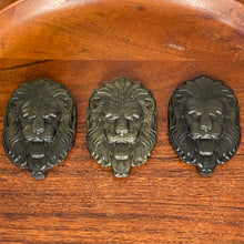 Load image into Gallery viewer, Gold Sheen Obsidian Lion
