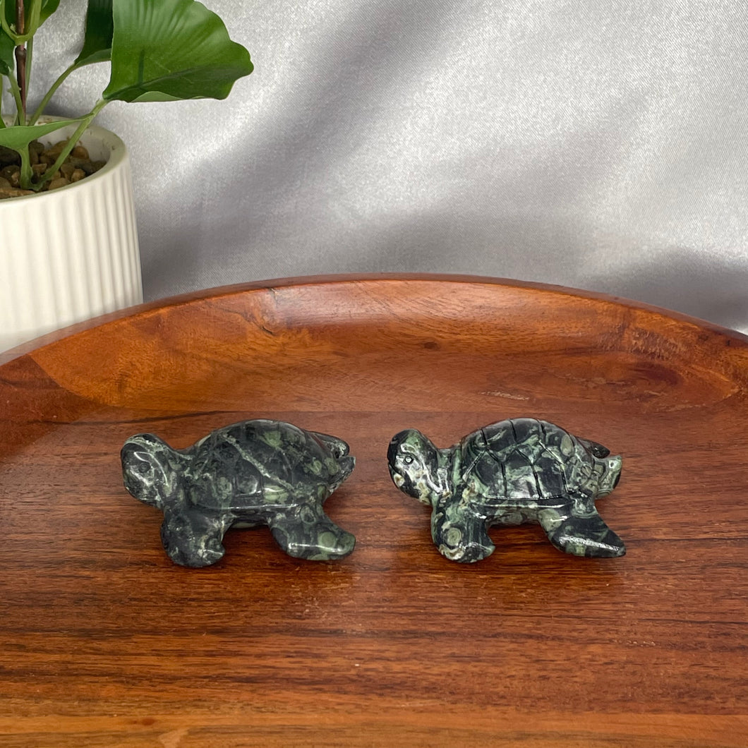 Kambaba Jasper Turtle