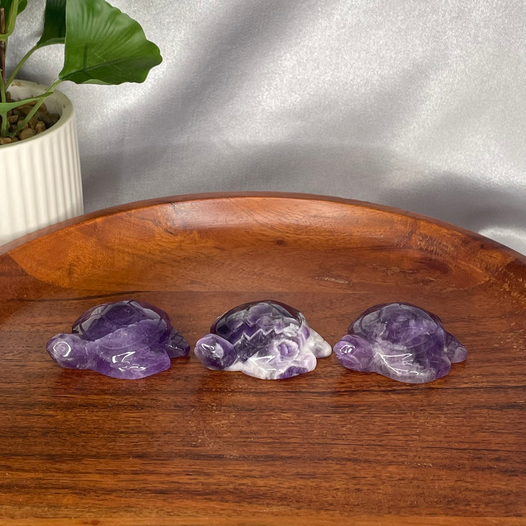 Chevron Amethyst Turtle