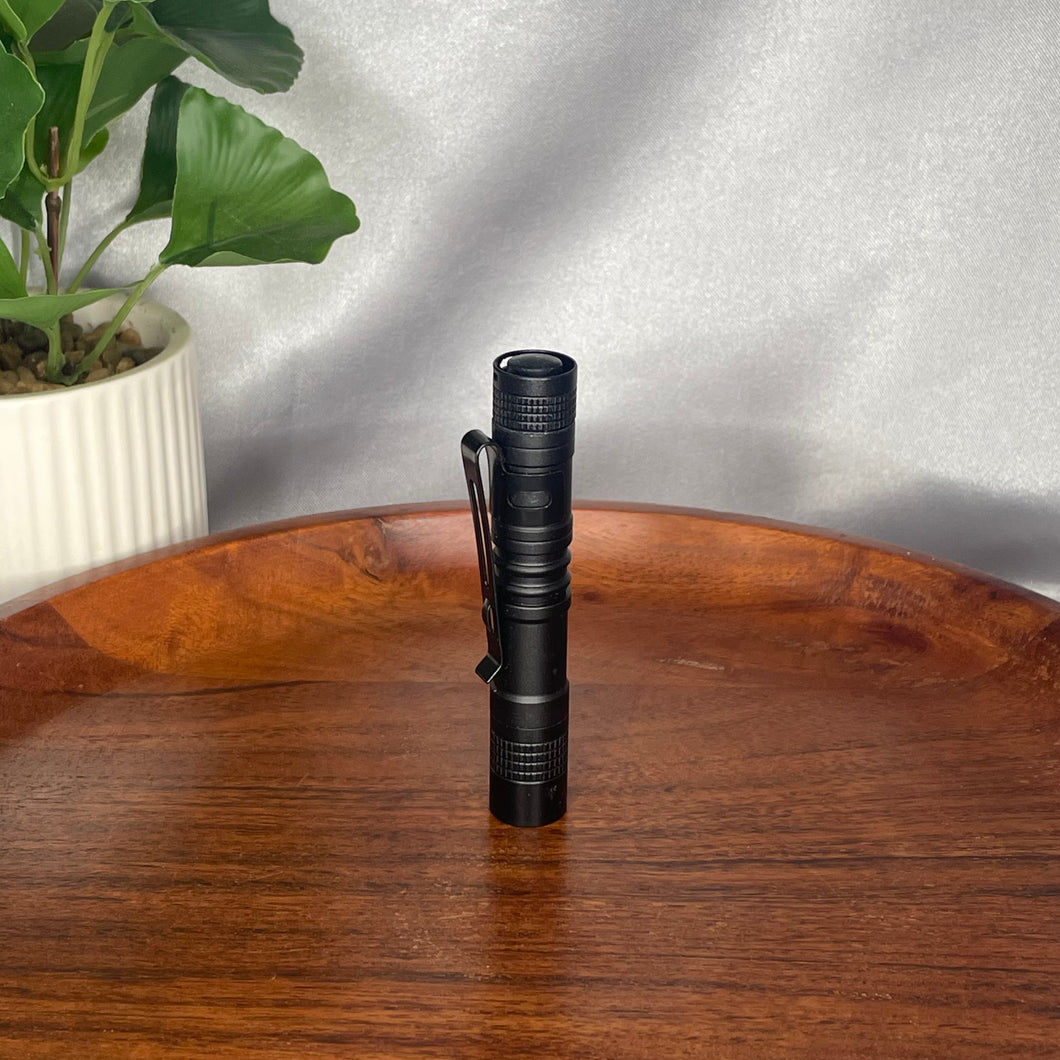 Mini UV Torch