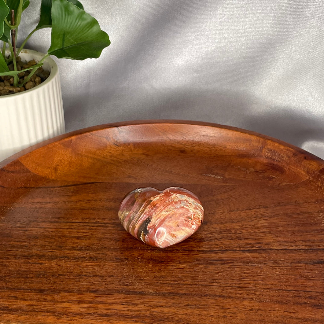 Petrified Wood Heart
