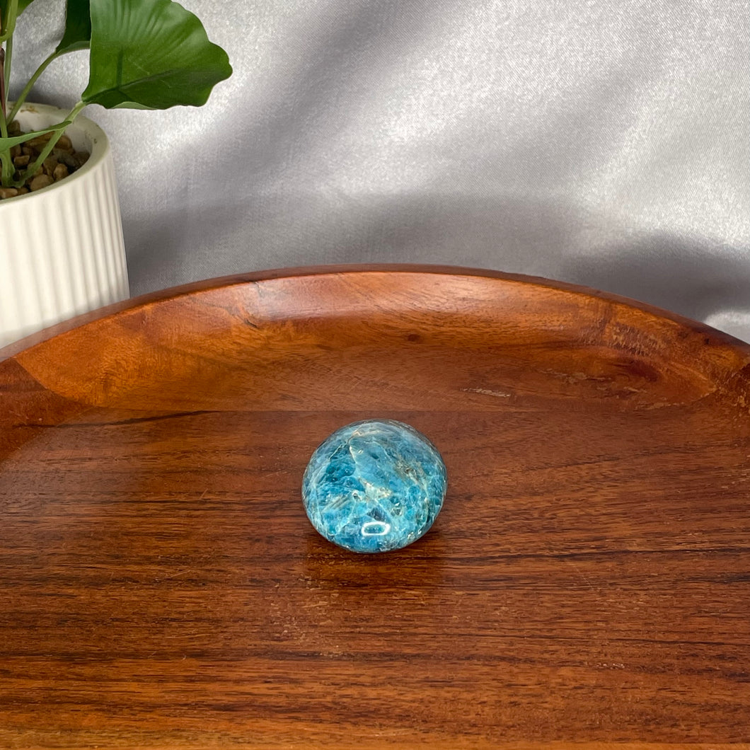 Blue Apatite Palm Stones