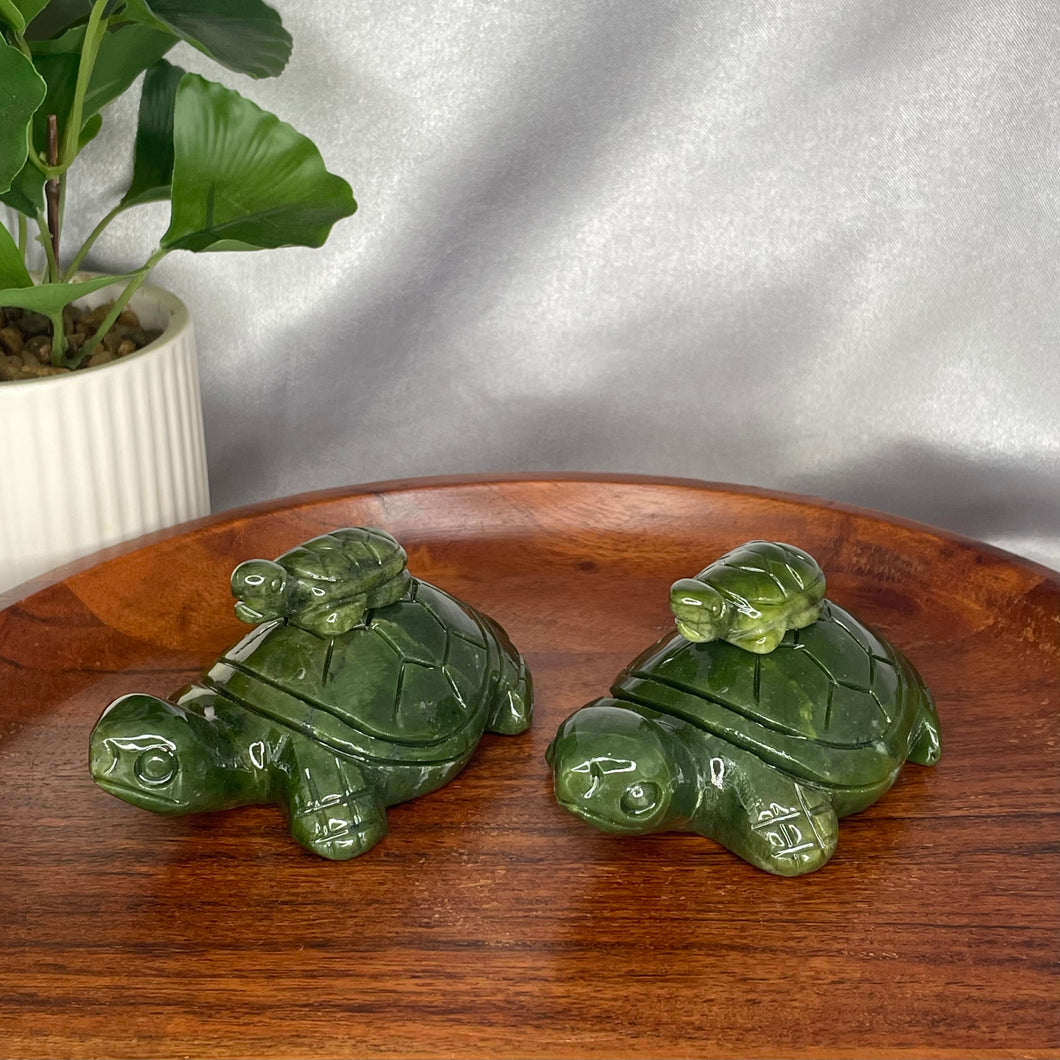 Serpentine Turtle with Baby