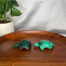 Load image into Gallery viewer, Malachite Turtles

