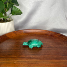 Load image into Gallery viewer, Malachite Turtles
