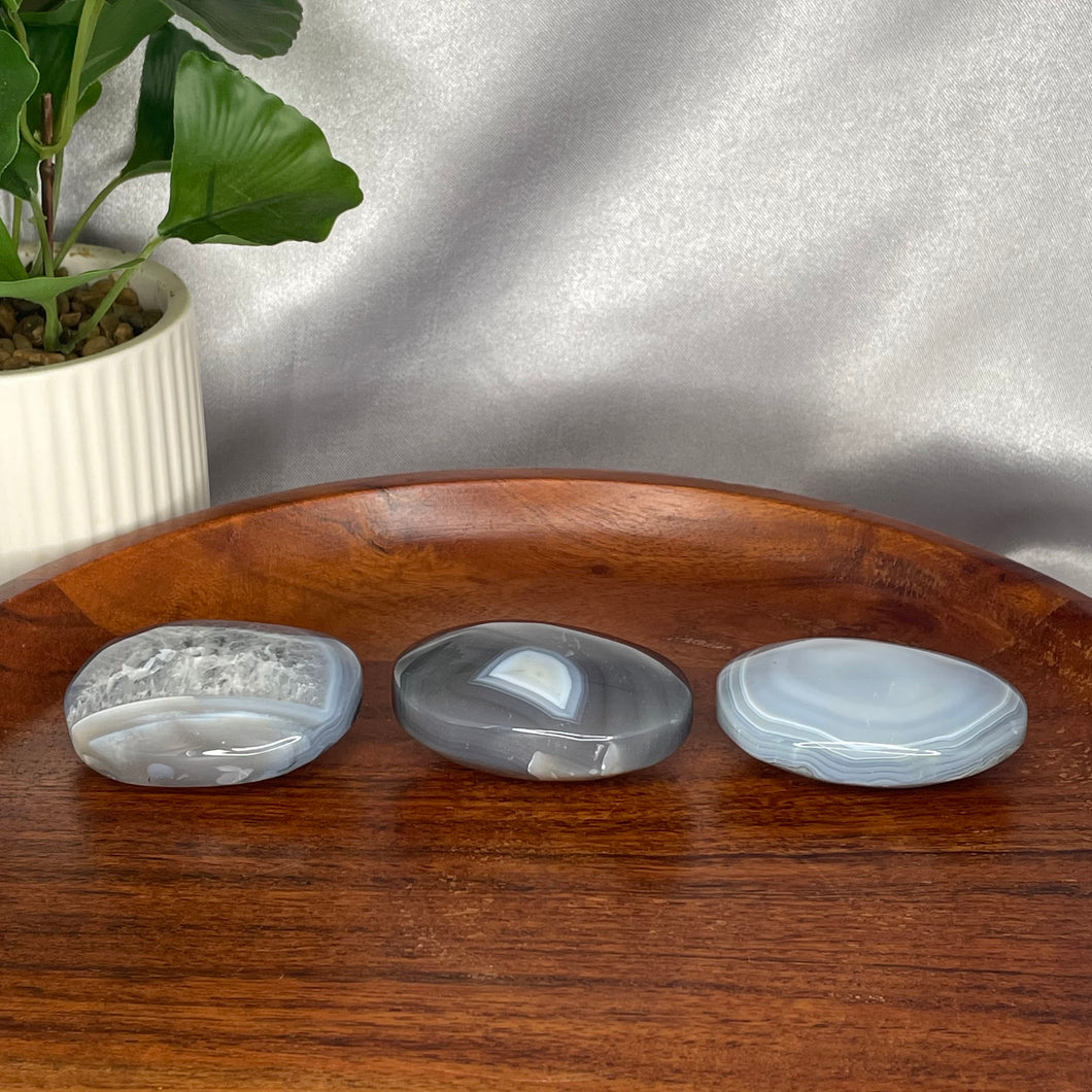 Agate Palm Stones