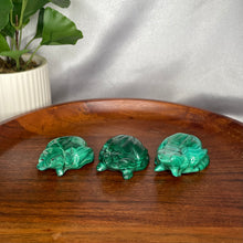 Load image into Gallery viewer, Malachite Frogs
