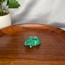 Load image into Gallery viewer, Malachite Frogs
