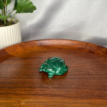 Load image into Gallery viewer, Malachite Frogs
