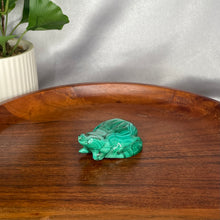 Load image into Gallery viewer, Malachite Frogs
