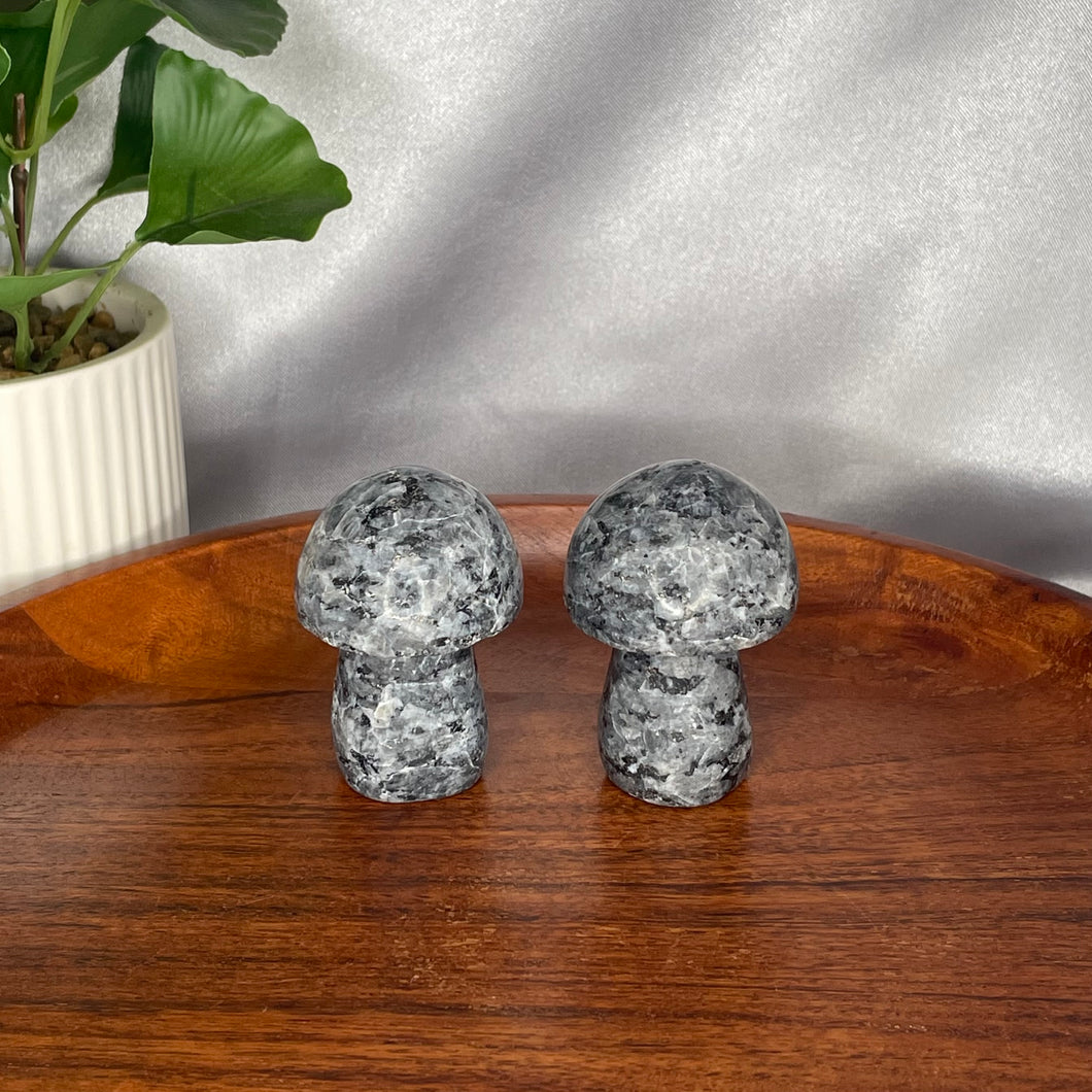 Larvikite Mushrooms