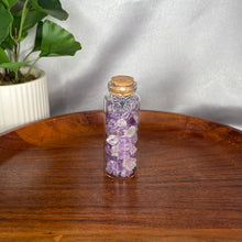 Load image into Gallery viewer, Large Chip Bottles
