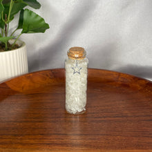 Load image into Gallery viewer, Large Chip Bottles
