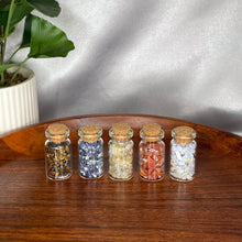 Load image into Gallery viewer, Chip Bottles
