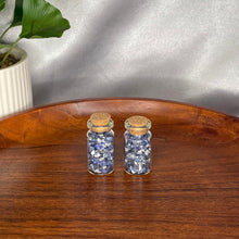 Load image into Gallery viewer, Chip Bottles

