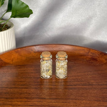 Load image into Gallery viewer, Chip Bottles
