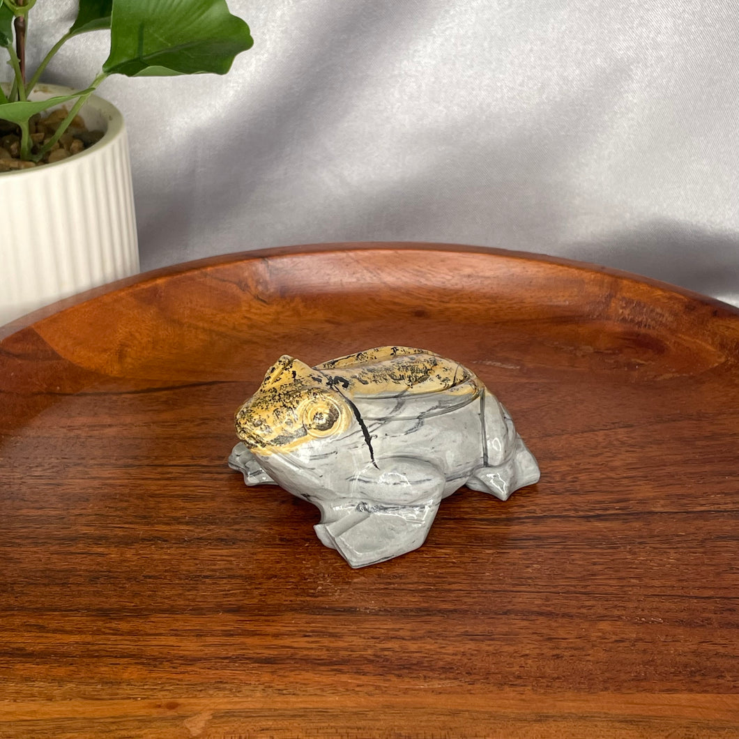 Picture Jasper Frog