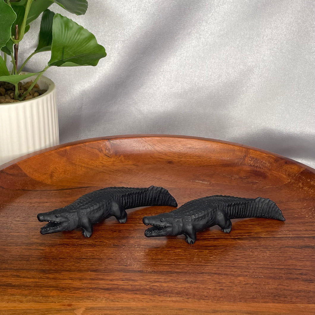 Crocodile