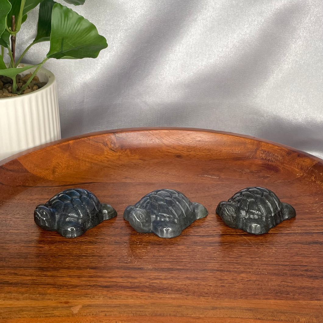 Labradorite Turtles
