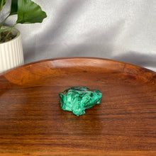 Load image into Gallery viewer, Malachite Frog
