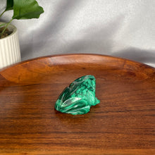 Load image into Gallery viewer, Malachite Frog
