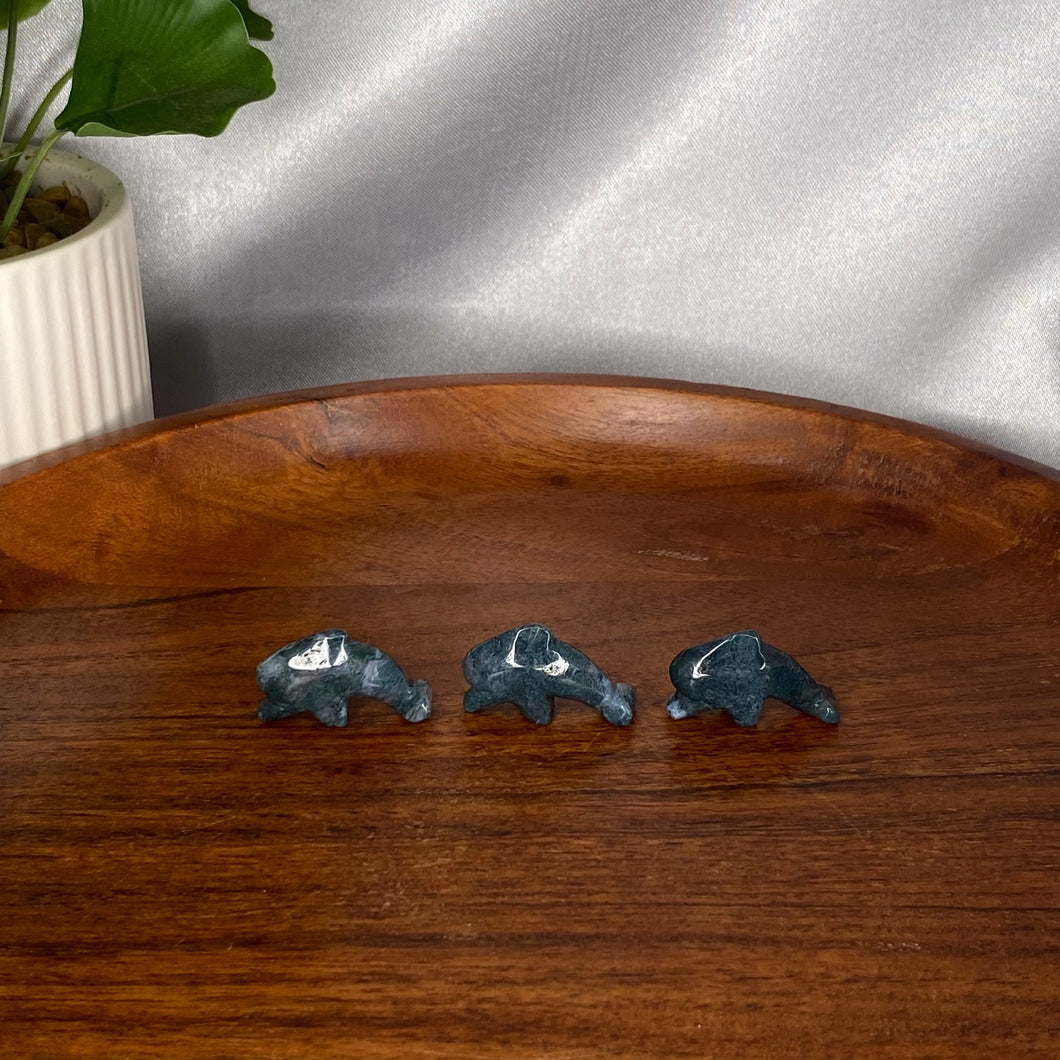 Mini Dolphins