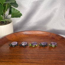 Load image into Gallery viewer, Serpentine Mini Turtles
