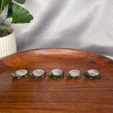 Load image into Gallery viewer, Serpentine Mini Turtles
