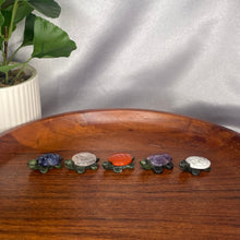 Load image into Gallery viewer, Serpentine Mini Turtles
