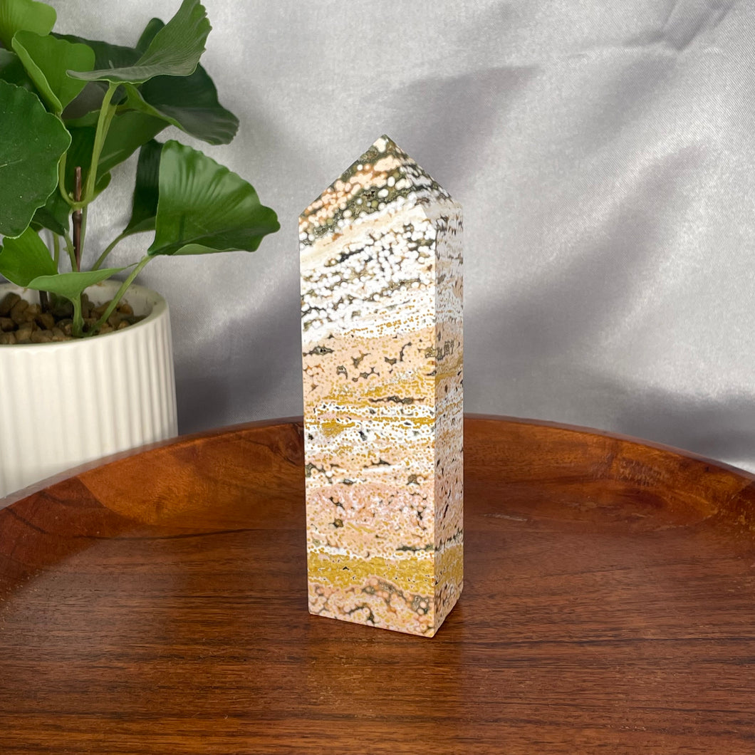 Ocean Jasper Towers